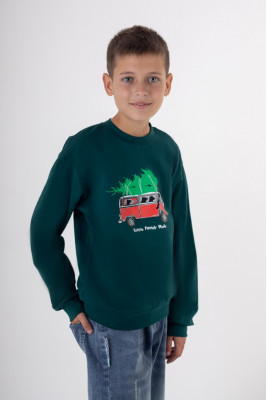 Світшот для хлопчиків